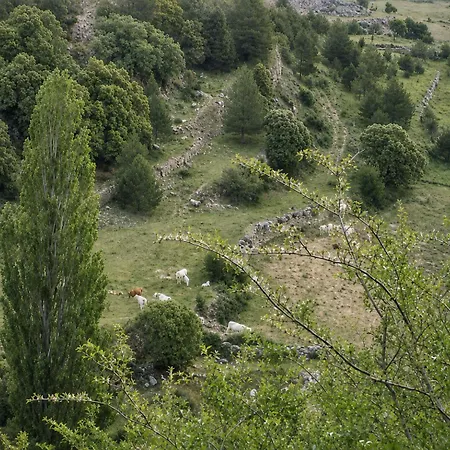 Casa La Roureda -el Boixar, Parc Natural De La Tinenca De Benifassa * Bojar